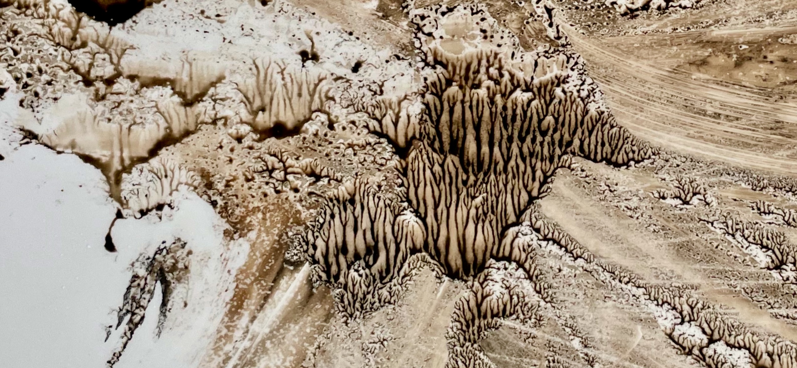 An artist photograph developed from the residue left by the process of making mono-prints